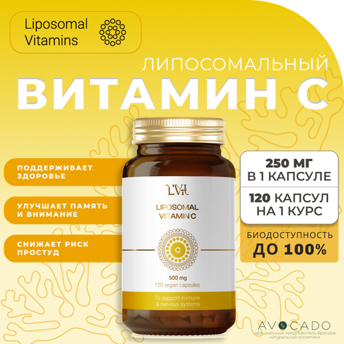   Liposomal Vitamins    - 500  / Liposomal Vitamin C, 120    -     -,    