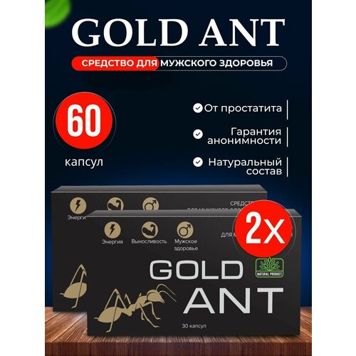     Gold Ant ,  ,    60    -     -,    