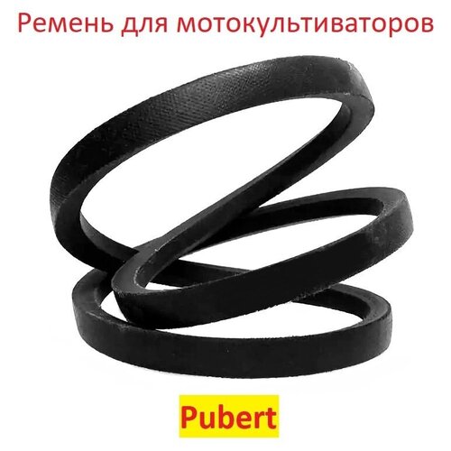       PUBERT 13567A / 0306030002   -     -,    