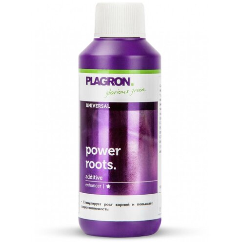    Plagron Pure Zym 100   -     -,    