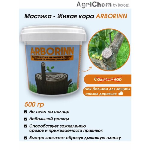         ARBORINN 500 .   -     -,    