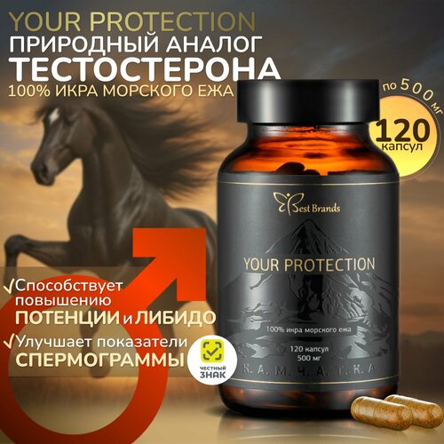   YOUR PROTECTION - 100%   .    . (120 )   -     -,    