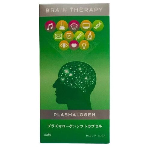   Brain Therapy ., 60 .   -     -,    