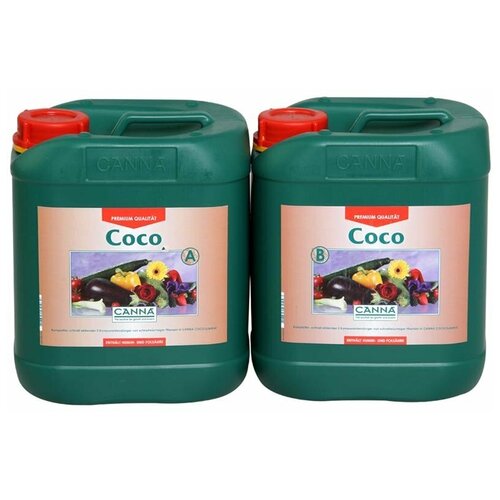   Coco A+B 5   -     -,    