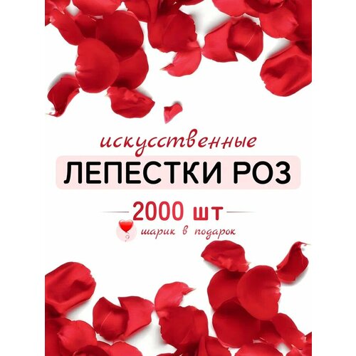      2000    -     -,    