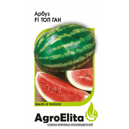       F1, 5, AgroElita   -     -,    