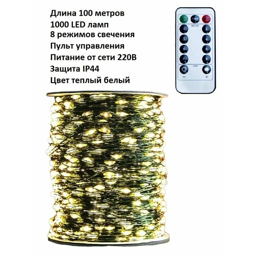    LED  :   /100 /1000 LED //  / /8  / .   -     -,    