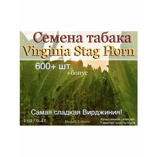   Virginia Stag Horn,  