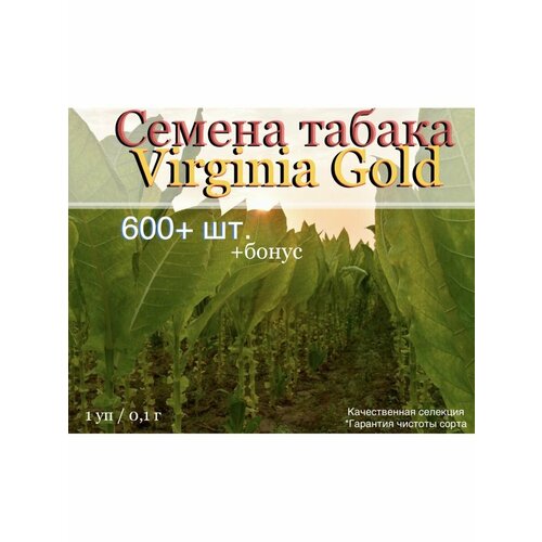     Virginia Gold   -     -,    