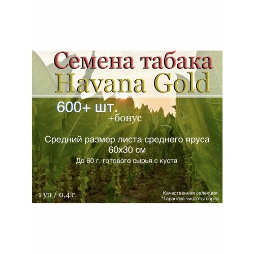     Havana Gold   -     -,    