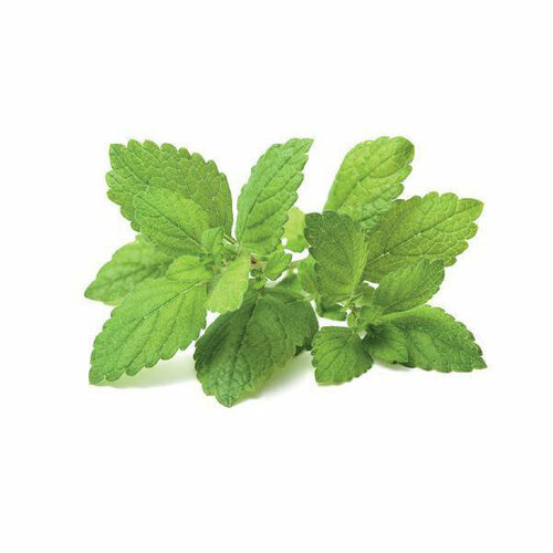   Click And Grow   Click And Grow Lemon Balm 3 .    Click And Grow    -     -,    