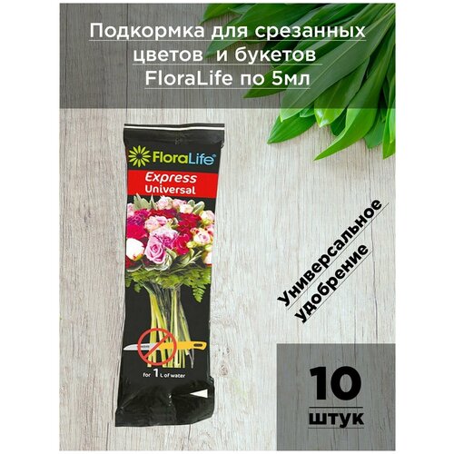     Floralife    - 10   5  /     / Oasis   -     -,    