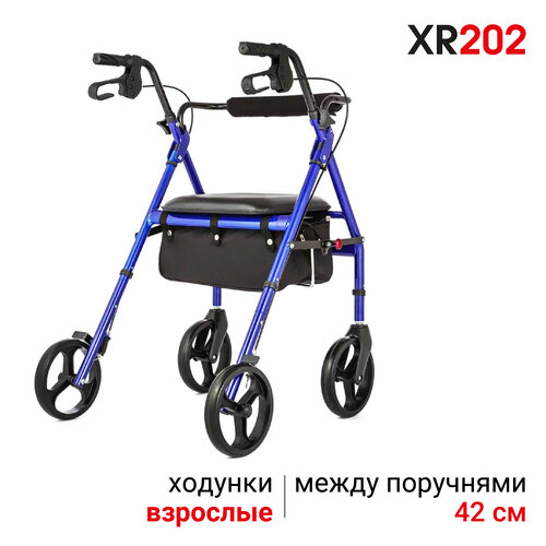      Ortonica XR 202            06-10-05   -     -,    