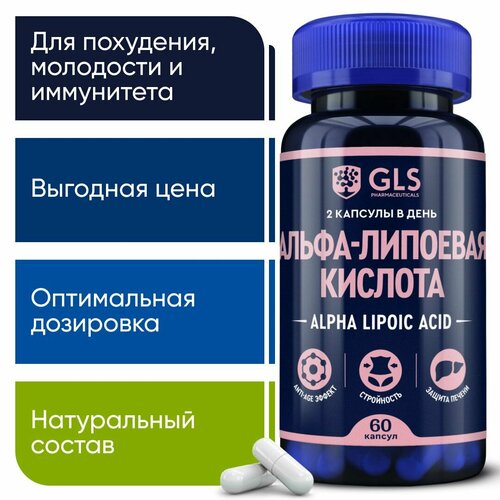      / Alpha Lipoic 100 ,     ,     , 60    -     -,    