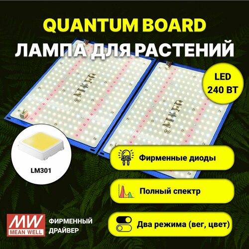     / quantum board c  LM-301,  240 , Mean Well, 5000,     -     -,    