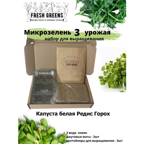     Fresh Greens (   ),  