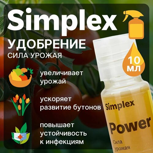    Simplex Power 10 .   -     -,    