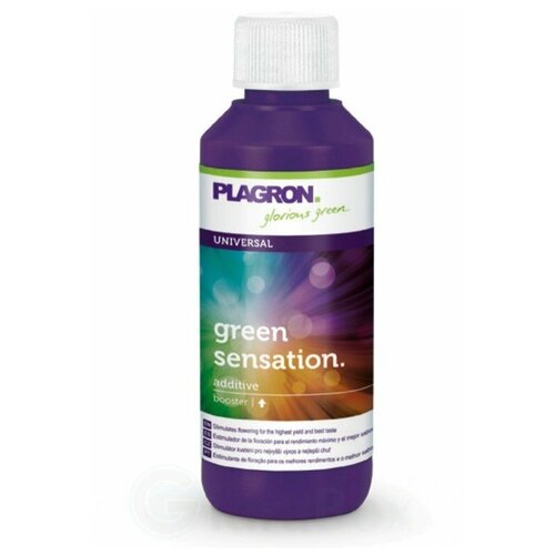     Plagron Green Sensation, 100    -     -,    