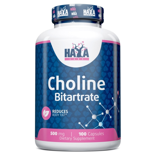   Haya Labs Choline Bitartate 500  ( ) 100  (Haya Labs)   -     -,    