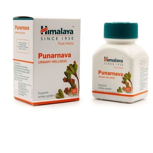   Punarnava, 60 .   -     -,    