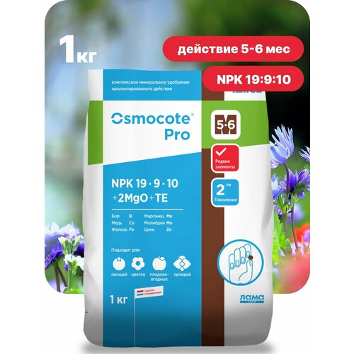       , Osmocote Pro 5-6 , 1    -     -,    