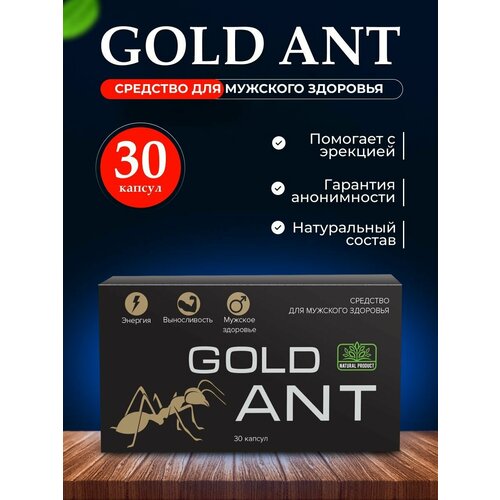     Gold Ant ,  ,    30    -     -,    