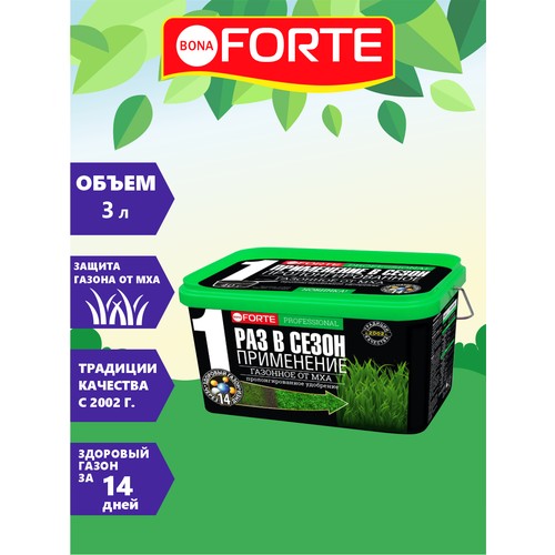   Bona Forte       3    -     -,    