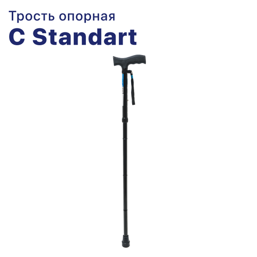   C Standart      -   ()  ,       -     -,    