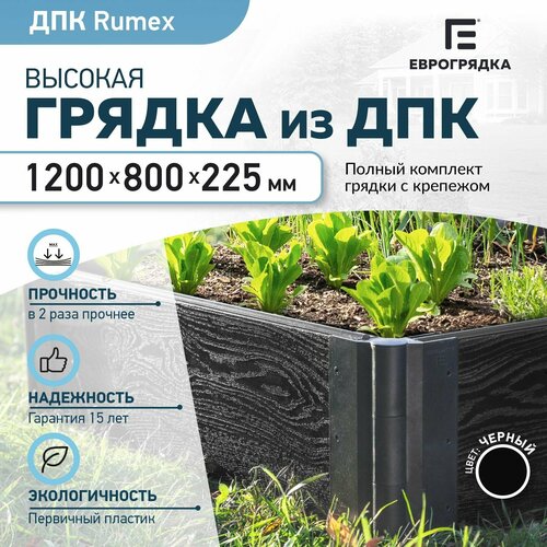      1.2   0.8 , ( Rumex: 22530 , : )   -     -,    