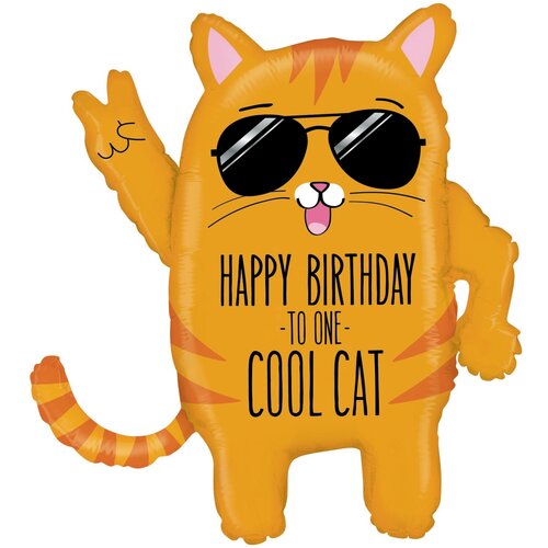    HB TO ONE COOL CAT    -     -,    