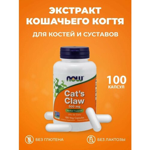   NOW Cat's Claw 500 mg  , 100 .    -     -,    