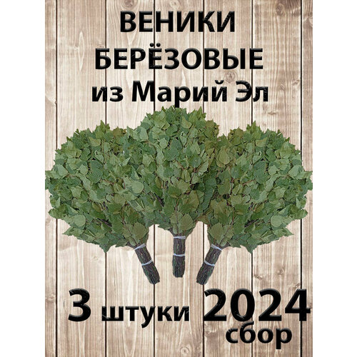       3   ,  2024    -     -,    