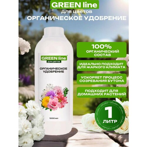   GREEN line    ,  , , , ,   1000    -     -,    