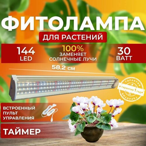        ,    ,      ,  30  144 LED   -     -,    