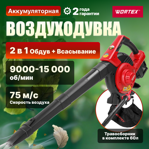     WORTEX BB 2536-1 D ALL1 SOLO (1333417)   -     -,    