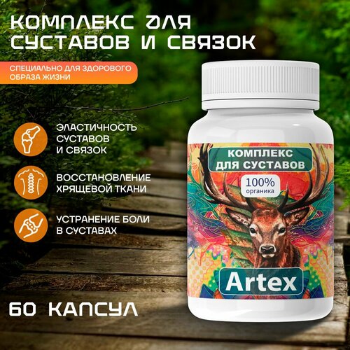    Artex           -     -,    