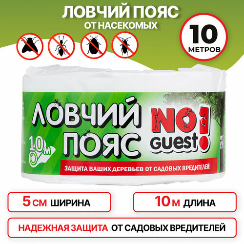        NoGuest,  , 10    -     -,    