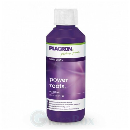     Plagron Power Roots 100      -     -,    