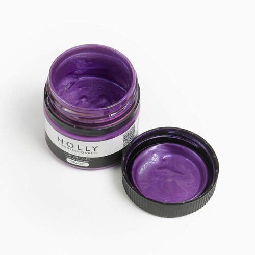   Holly Professional     /   ,    Color Gel Violet   -     -,    