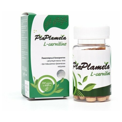   Plaplamela L- - 120    -     -,    