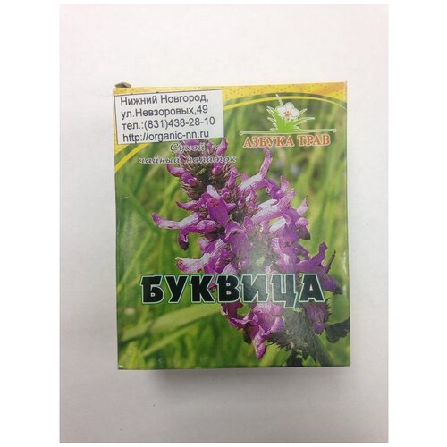    ,  1,5*20 -   (Betonica officinalis L.)   -     -,    