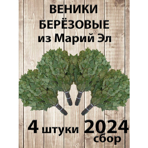       4   ,  2024    -     -,    