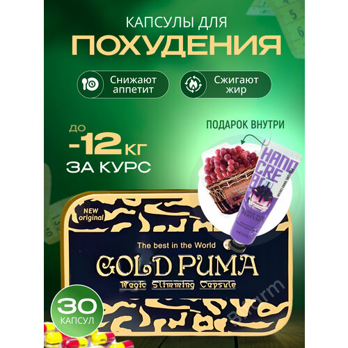   Gold Puma -   / 30    -     -,    