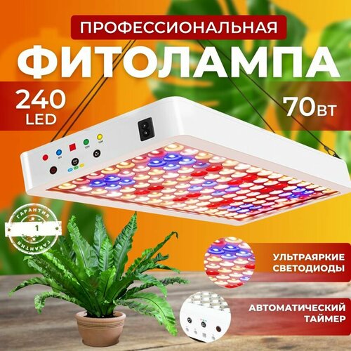       ,   quantum board,   ,     240 LED 70    -     -,    