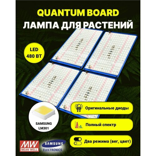     / quantum board c  Samsung LM-301,  480 , Mean Well, 5000,     -     -,    