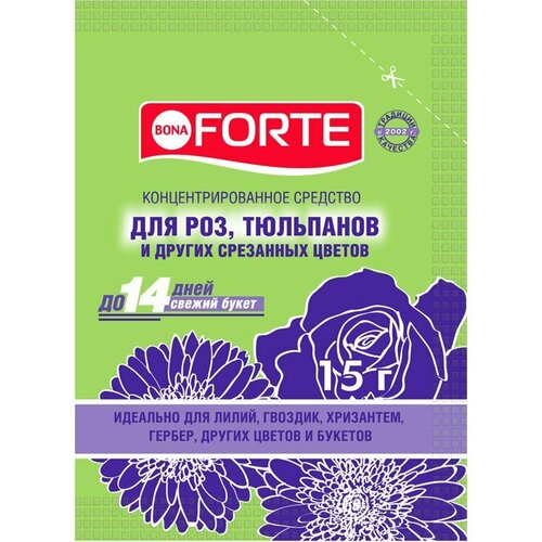   Bona Forte 15  5 /         -     -,    