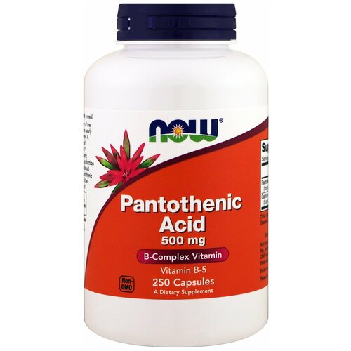   Pantothenic Acid ., 500 , 400 , 240 , 250 .   -     -,    