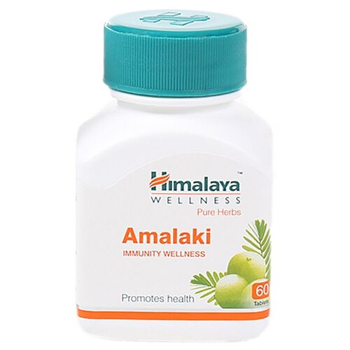   Amalaki, 100 , 100 , 60 .   -     -,    