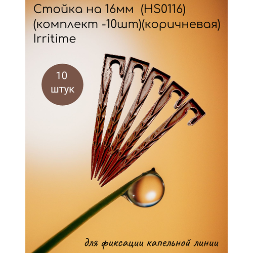     16 (HS0116)( -10)() Irritime   -     -,    