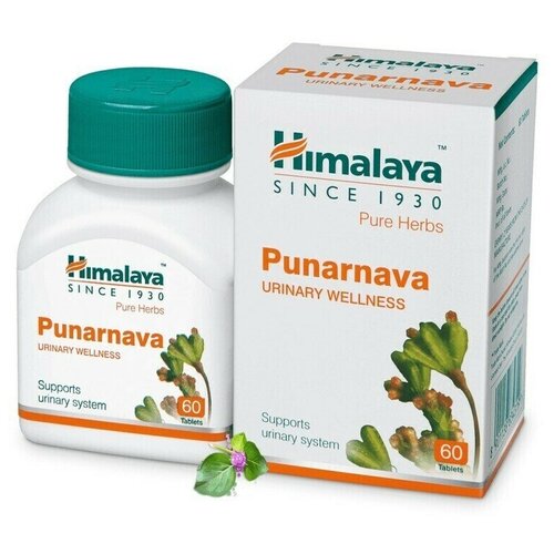    Himalaya Wellness Pure Herb 60 .   -     -,    